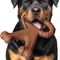 Pet Planet Jouet de chien en nylon 2 Article