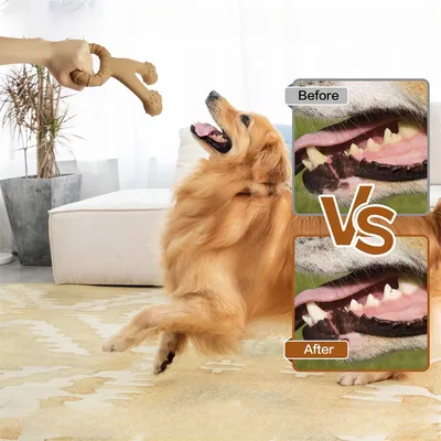 Pet Planet Jouet de chien en nylon