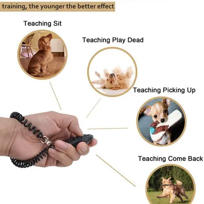 Petopia Clicker de dressage pour chiens