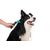 M-PETS - STYLUS Brosse Anti-mue - L - 11 x 16cm