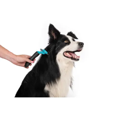 M-PETS - STYLUS Brosse Anti-mue - L - 11 x 16cm