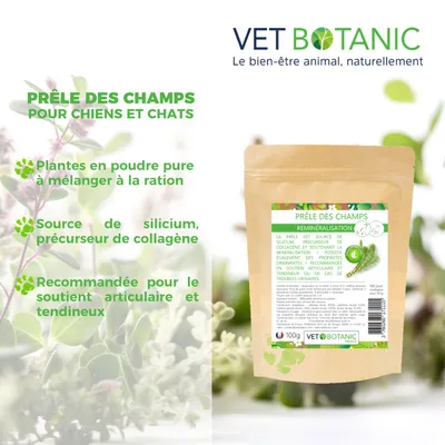 PRÊLE DES CHAMPS - Plante pure en poudre - Reminéralisation chiens et chats