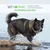 CYNORHODON - Vitamine C naturelle pour le chien et le chat