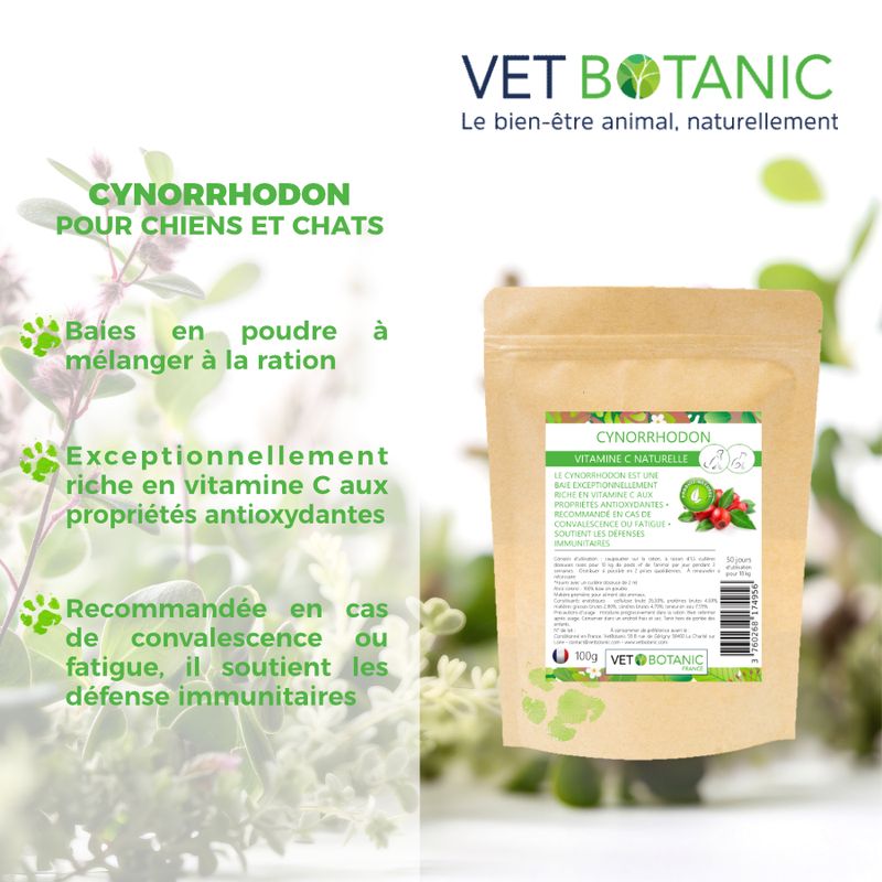 CYNORHODON - Vitamine C naturelle pour le chien et le chat