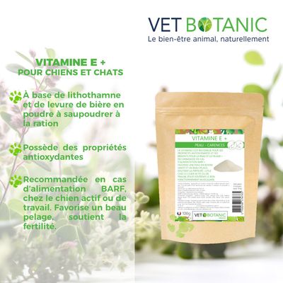 VITAMINE E + - Peau et carences chez le chien et le chat
