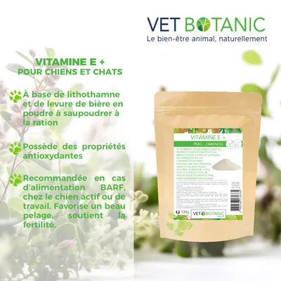VITAMINE E + - Peau et carences chez le chien et le chat