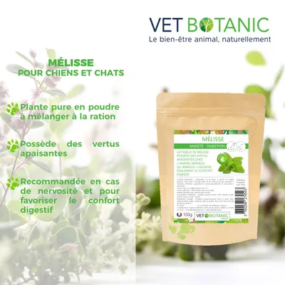 MELISSE Plante pure en poudre - Anxiété et digestion chiens et chats