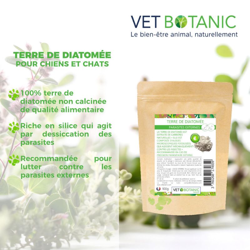 TERRE DE DIATOMÉE - Parasites externes chiens et chats