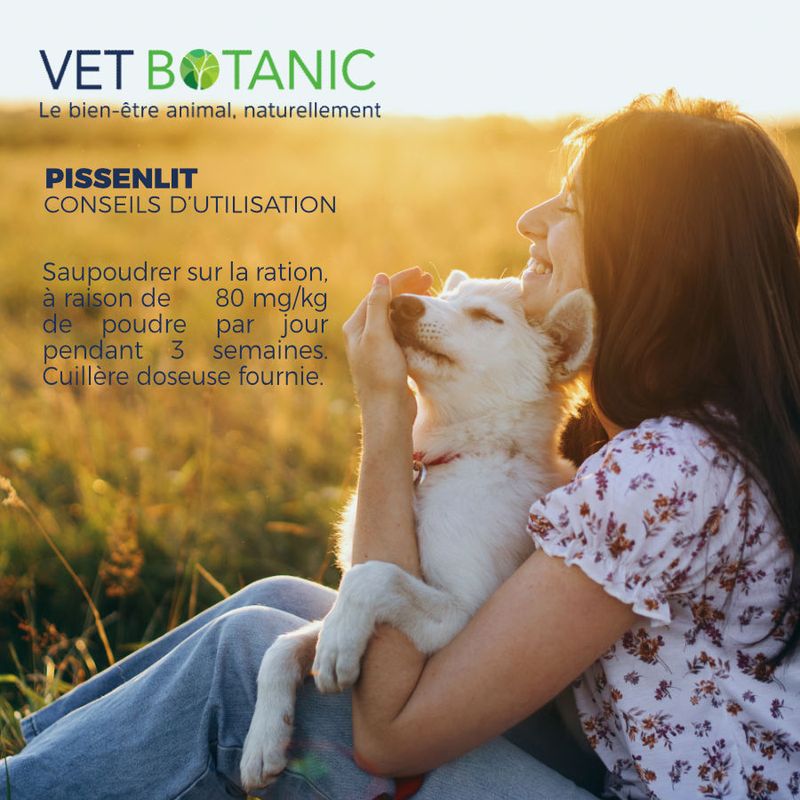 PISSENLIT Plante pure en poudre - Draînage et détox chiens et chats