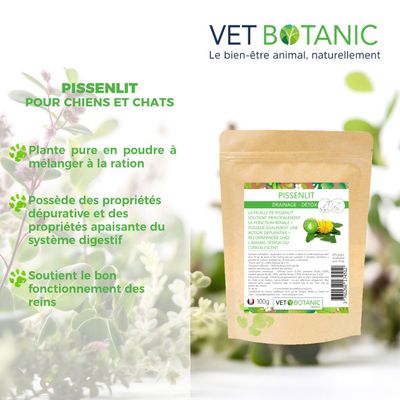 PISSENLIT Plante pure en poudre - Draînage et détox chiens et chats