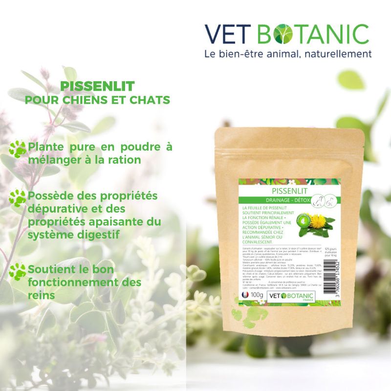 PISSENLIT Plante pure en poudre - Draînage et détox chiens et chats