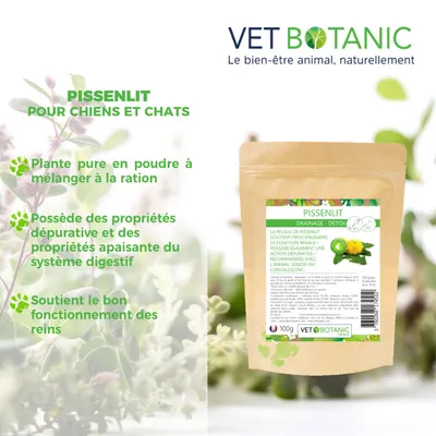 PISSENLIT Plante pure en poudre - Draînage et détox chiens et chats