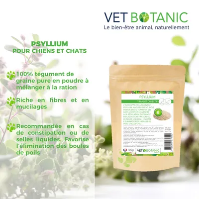 PSYLLIUM tégument pur en poudre - Transit digestif chiens et chats