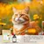 COMPLEMENT SENIORS - Confort et bien-être du chien et du chat