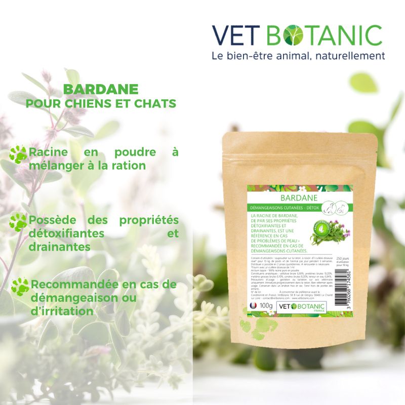 BARDANE Racine en poudre - Démangeaisons et détox chiens et chats