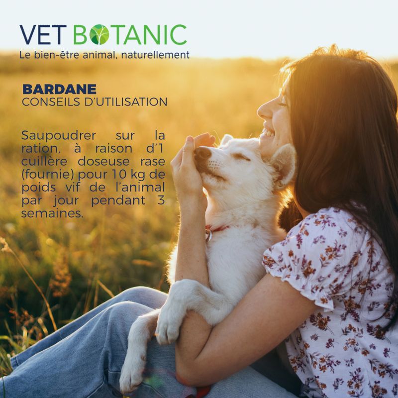 BARDANE Racine en poudre - Démangeaisons et détox chiens et chats
