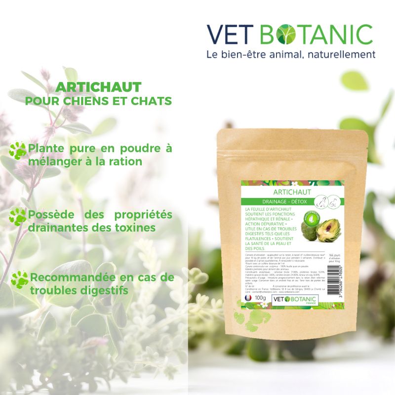 ARTICHAUT Plante pure en poudre - Drainage detox chiens et chats