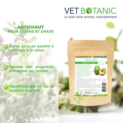 ARTICHAUT Plante pure en poudre - Drainage detox chiens et chats