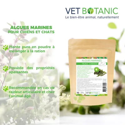 ALGUES MARINES plante pure en poudre - Pelage et carences chiens et chats
