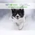 ÉCHINACÉE Plante pure en poudre - Défenses immunitaires chiens et chats