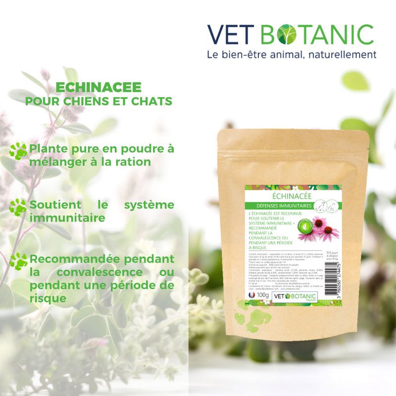 ÉCHINACÉE Plante pure en poudre - Défenses immunitaires chiens et chats