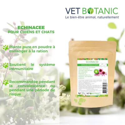ÉCHINACÉE Plante pure en poudre - Défenses immunitaires chiens et chats