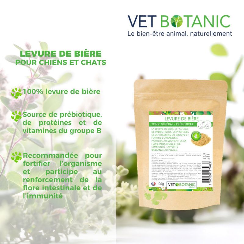 LEVURE DE BIERE CHATS ET CHIENS