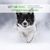LEVURE DE BIERE CHATS ET CHIENS
