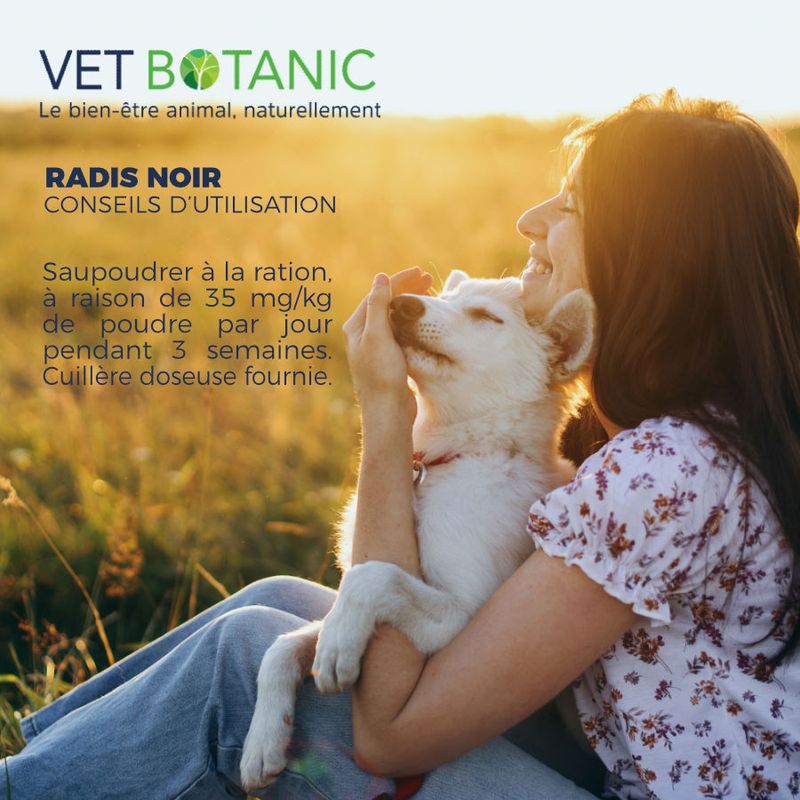RADIS NOIR Plante pure en poudre - Digestion et détox chiens et chats
