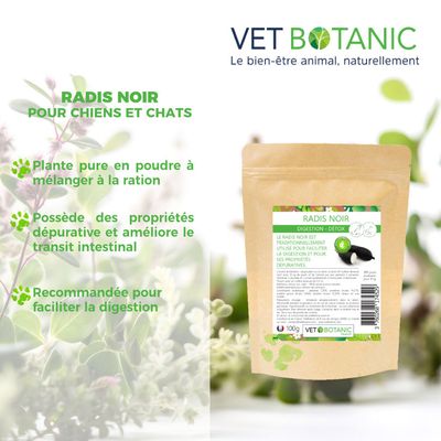 RADIS NOIR Plante pure en poudre - Digestion et détox chiens et chats