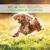 COLLAGENE MARIN - Soutien locomoteur du chien et du chat