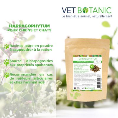 HARPAGOPHYTUM Racine pure en poudre - Raideurs articulaires chiens et chats