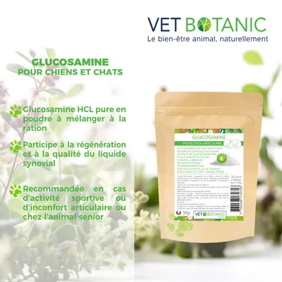 GLUCOSAMINE PURE - Protection articulaire des chiens et des chats
