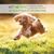 COMPLEMENT ARTICULATIONS - Renfort et souplesse chiens et chats