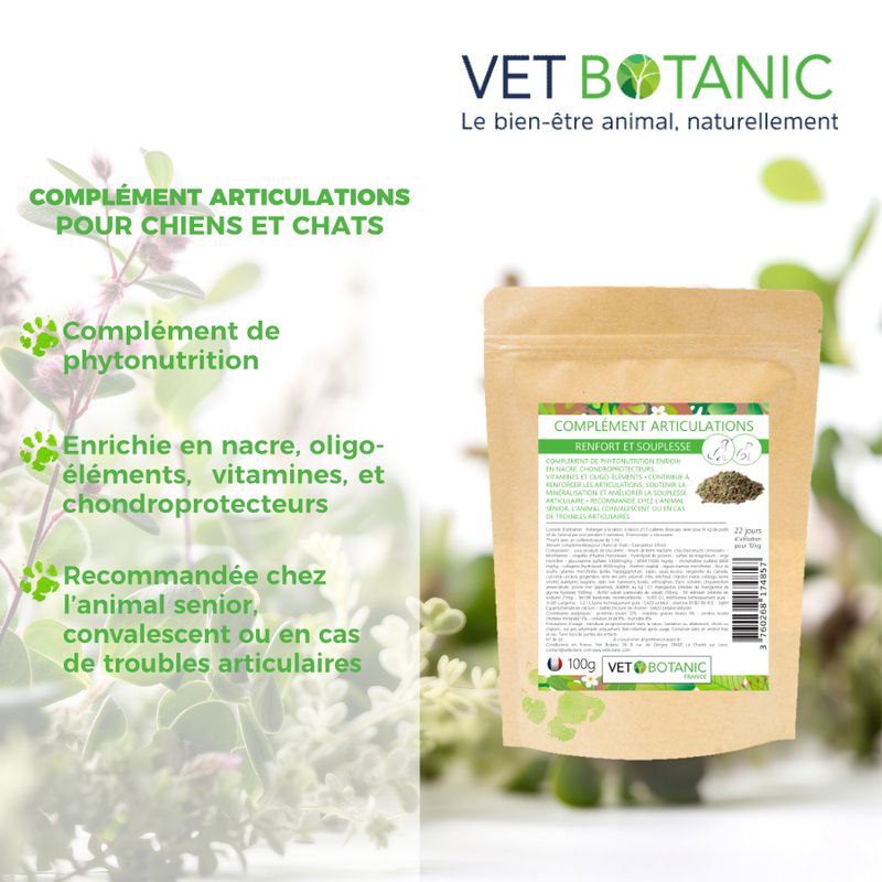 COMPLEMENT ARTICULATIONS - Renfort et souplesse chiens et chats