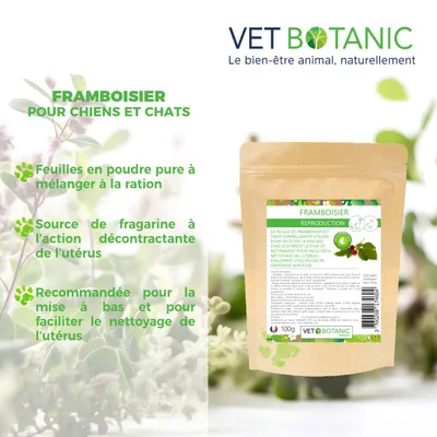 FRAMBOISIER Feuilles en poudre - Reproduction chiens et chats