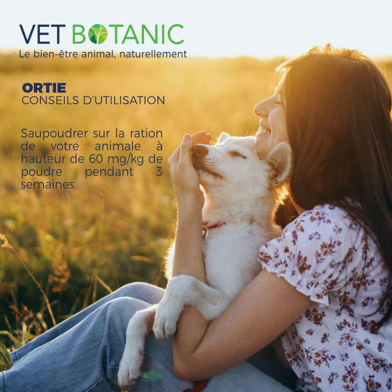 ORTIE Plante pure en poudre - Reminéralisation & draînage chiens et chats