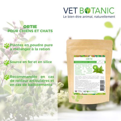 ORTIE Plante pure en poudre - Reminéralisation & draînage chiens et chats