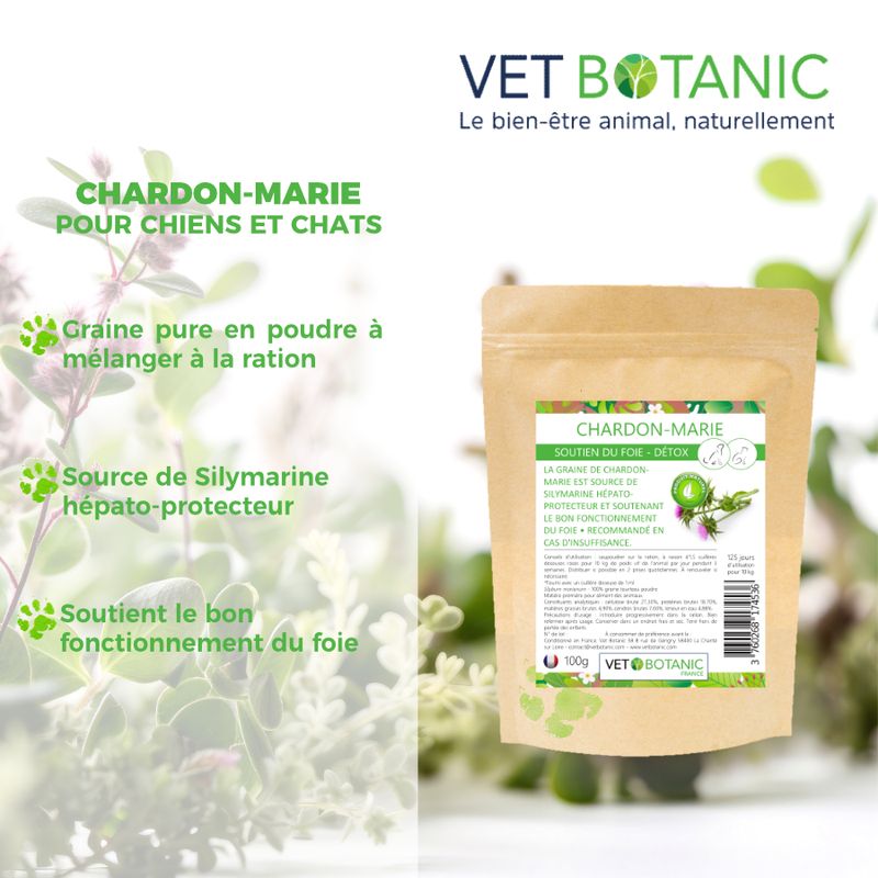 CHARDON-MARIE Graine pure en poudre - Soutien du foie, détox chien et chat