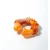 MPETS - Jouet à Macher CARNIVORE Ring Bone M - Gout Bacon