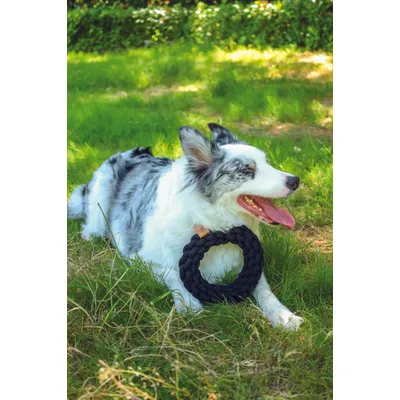 MPETS Jouet COTO Ring 13 cm - Noir