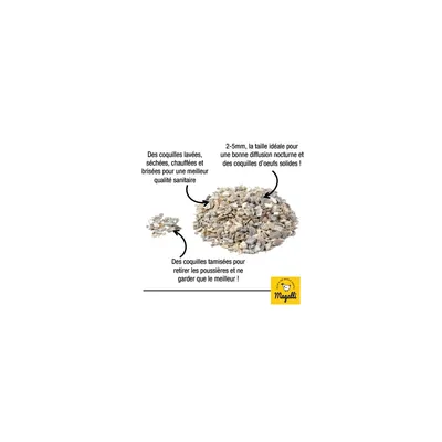 MAGALLI - Magalli Coquilles Marines Calcaire - Source De Calcium