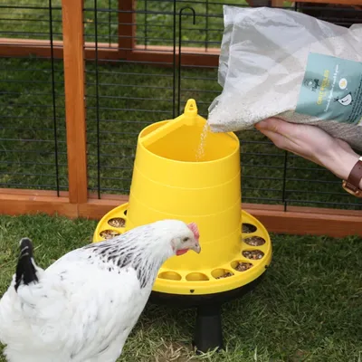 MAGALLI - Magalli Grit Poules - Digestion Et Coquilles Solides