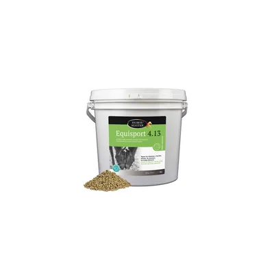 HORSE MASTER - EQUISPORT START ( 4.13 )