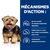HILL'S -   CHIEN ADULT PRESCRIPTION DIETS L/D LIVER CARE