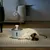 Petopia Dispenseur d'eau intelligent pour animaux de compagnie