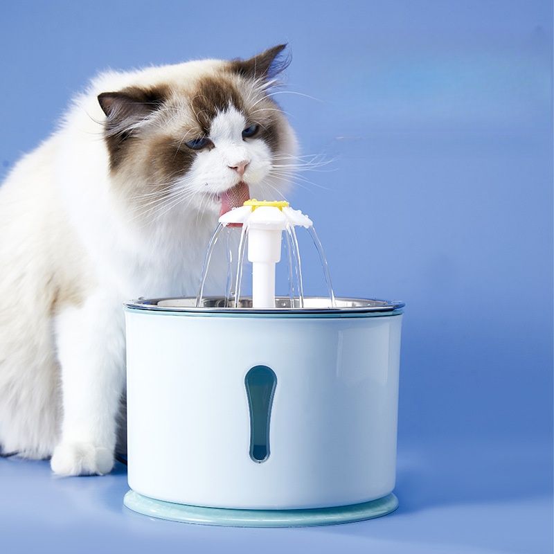 Petopia Dispenseur d'eau intelligent pour animaux de compagnie