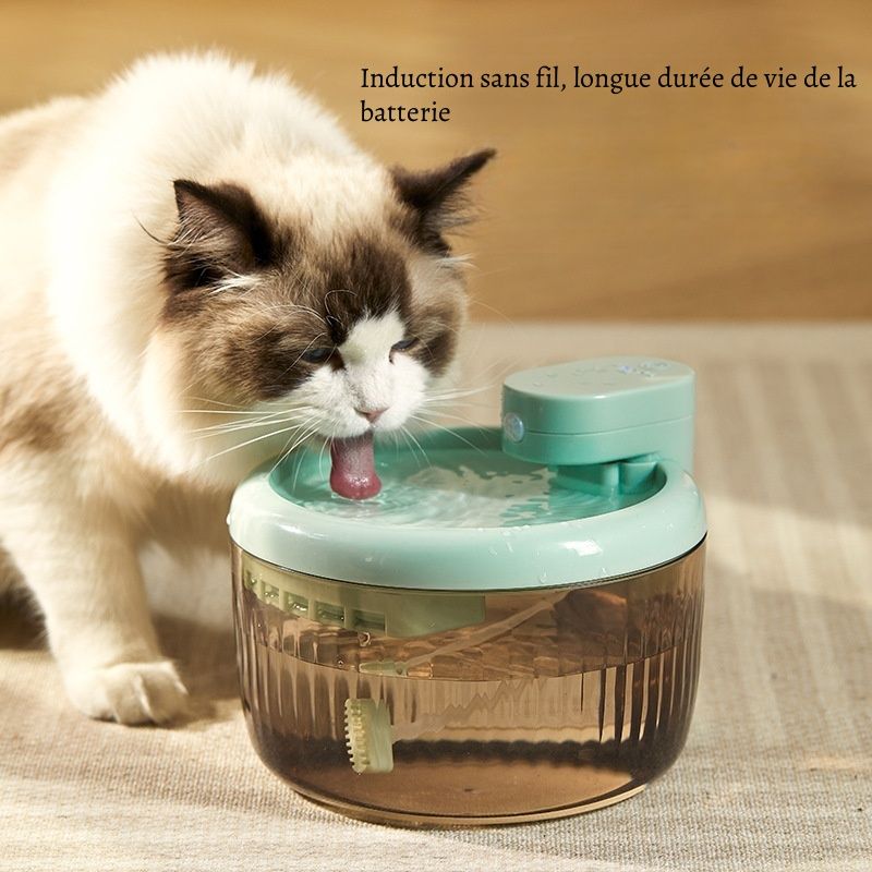 Petopia Dispenseur d'eau intelligent pour chat