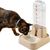 UAMLY Distributeur d'eau pour animaux de compagnie avec filtre