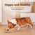 UAMLY Distributeur d'eau pour animaux de compagnie avec filtre